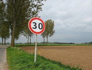 Bamboo traffic sign